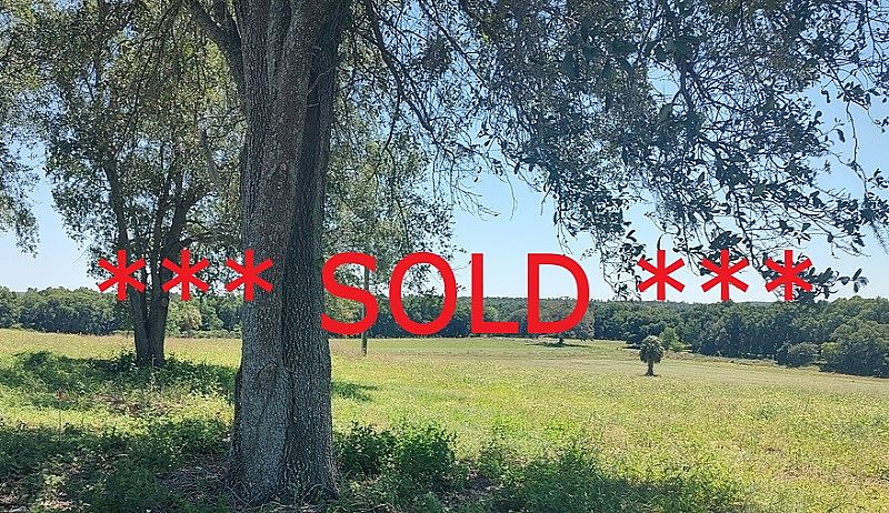 Harvest Hills - Myers Road 5 Acre Building Sites, Myers Rd, Brooksville, Hernando County, Florida SOLD